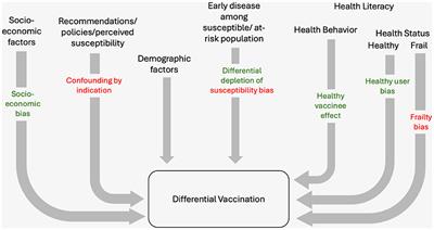 Biases in COVID-19 vaccine effectiveness studies using cohort design